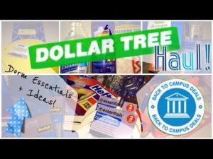 Dollar Tree Tallahassee Florida