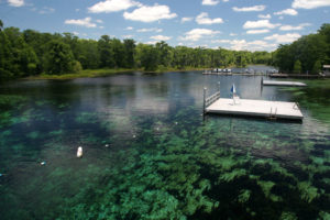 Wakulla Springs Tallahssee Florida