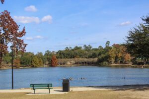 Lake Ella Tallahassee