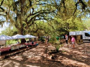 lake ella farmers market tallahassee fl