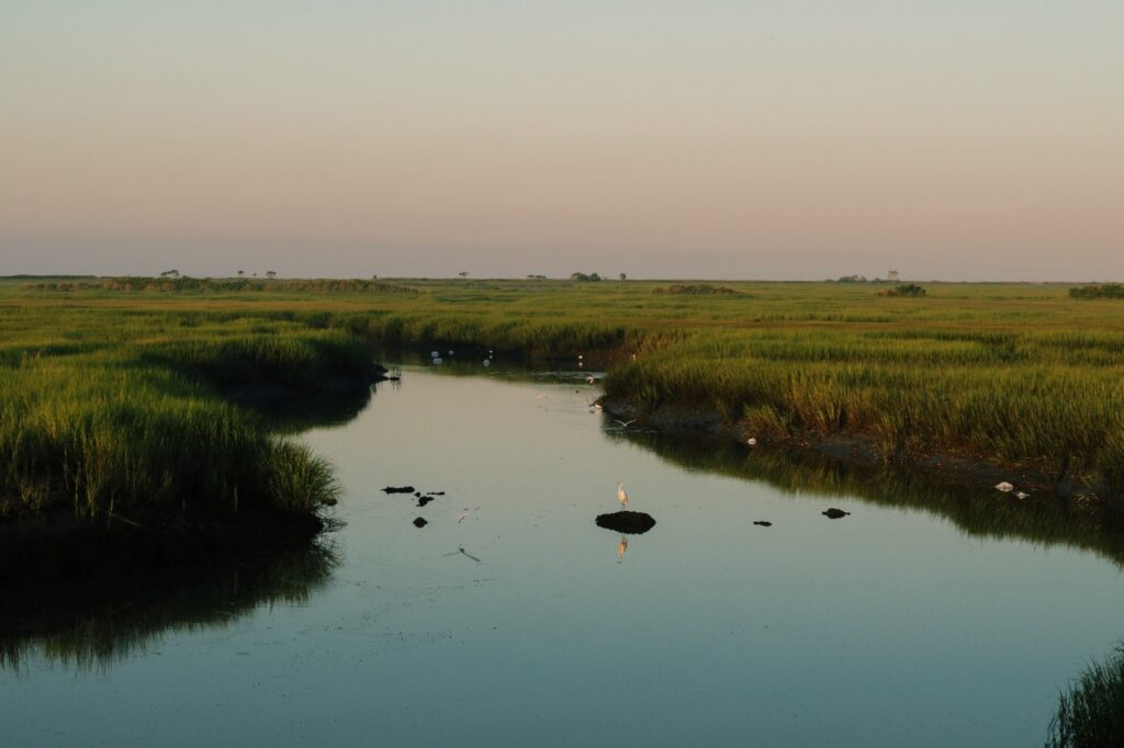 st marks national refuge