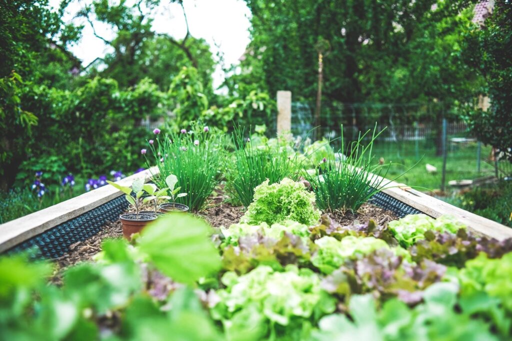 gardening in tallahassee fl